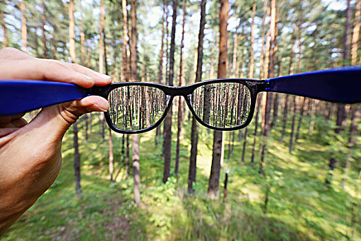 视力,眼镜,上方,模糊,树林,背景
