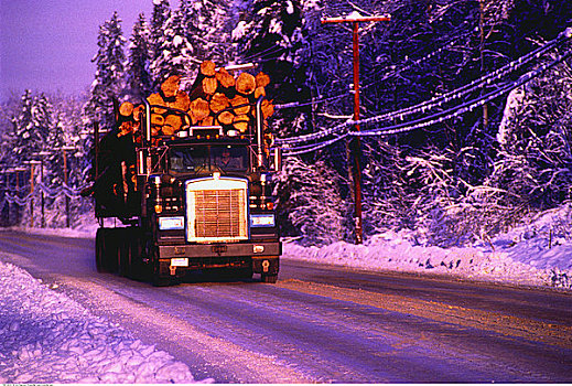 伐木,卡车,途中,冬天,不列颠哥伦比亚省,加拿大
