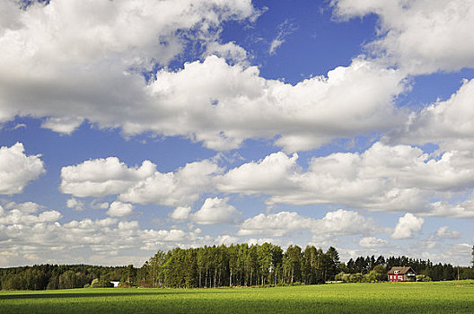 地点,农场,北方,瑞典