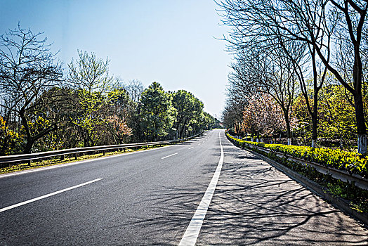 道路,阿尔卑斯山