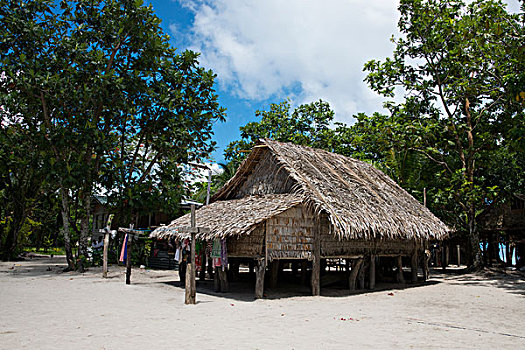 美拉尼西亚,省,所罗门群岛,岛屿,乡村,特色,茅草屋顶,家,大幅,尺寸