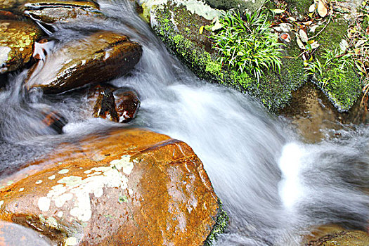 山中的溪水