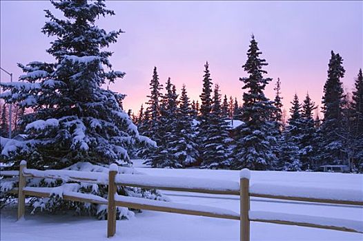 积雪,栅栏,栏杆,树林,阿拉斯加,冬天,日落,住宅