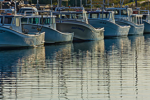 渔船,停靠,港口,岬角,爱德华王子岛,加拿大