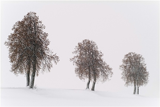 跳舞,暴风雪