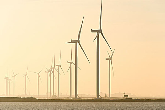 风电场,荷兰