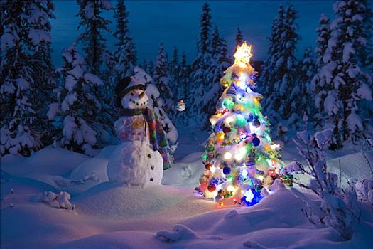 雪人,站立,雪盖,云杉,树林,靠近,装饰,圣诞树,冬天