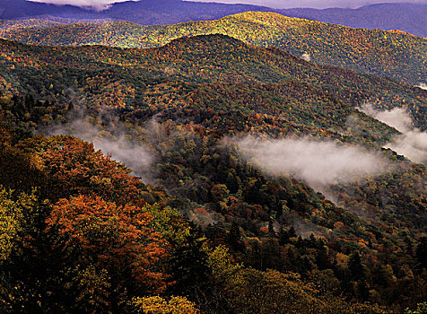 秋天,大烟山国家公园,北卡罗来纳,田纳西,美国,大幅,尺寸