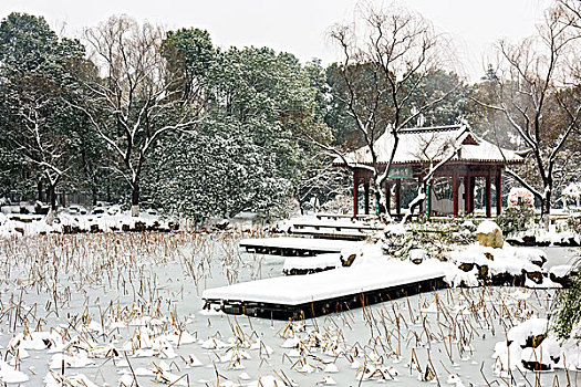 园林雪景