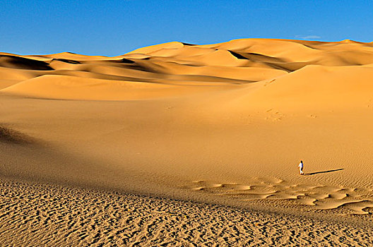 女人,走,沙丘,靠近,阿德拉尔,阿尔及利亚,撒哈拉沙漠,北非