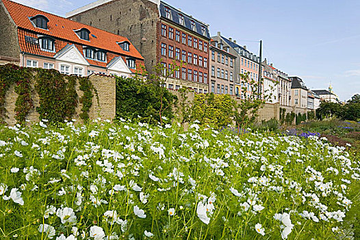 花园,城堡,街道,哥本哈根,丹麦