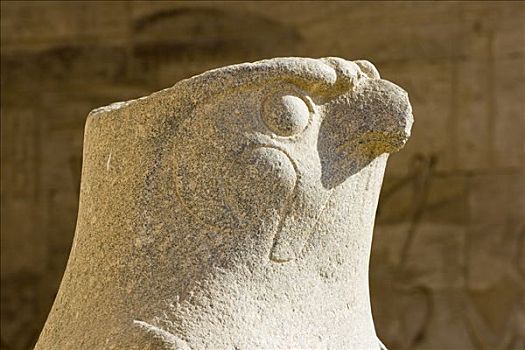 猎鹰,雕塑,神,霍鲁斯,第一,荷露斯神庙,伊迪芙,路克索神庙,尼罗河流域,埃及,非洲