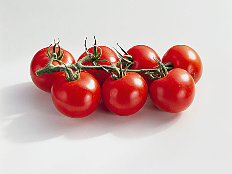西红柿,番茄,品种,圣女果,串,抠像,食物