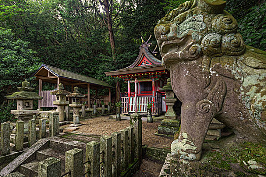 日本,奈良县,神祠,画廊