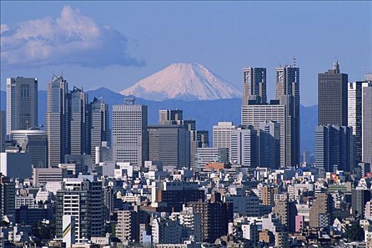 日本,东京,山,富士山,新宿,区域,天际线