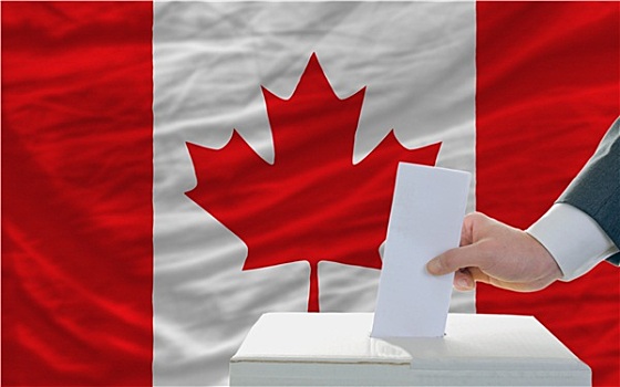 男人,投票,选举,加拿大
