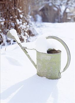 洒水壶,花园,积雪
