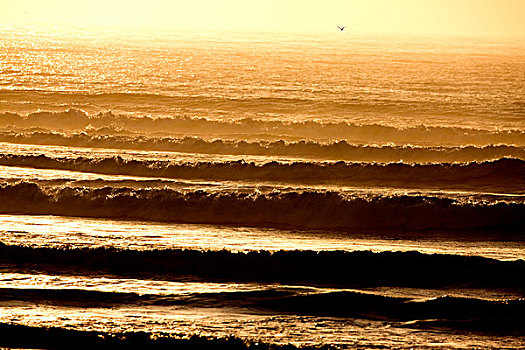 日落,波浪,大西洋,克罗斯角,纳米比亚