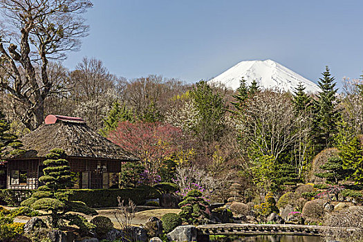 茅草屋顶,房子,山,富士山,日本