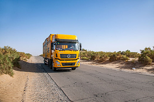 新疆塔里木沙漠公路上运行的货车