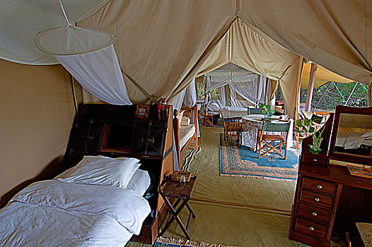 20年代,旅游,露营,马赛马拉国家保护区,肯尼亚