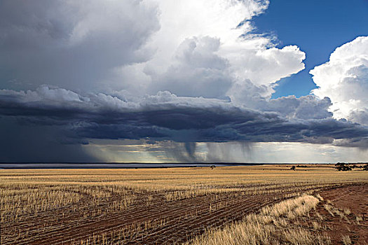 风暴,上方,农田,雅拉,湖,西澳大利亚州,澳大利亚