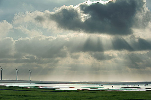 gaomei,wetland