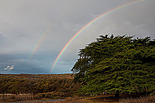 美国,加利福尼亚,一对,彩虹,雷雨天气