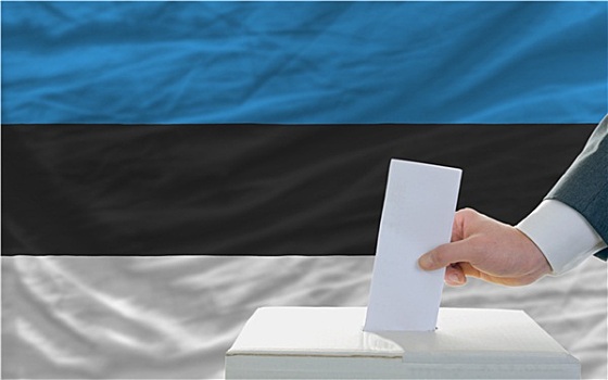 男人,投票,选举,爱沙尼亚,正面,旗帜