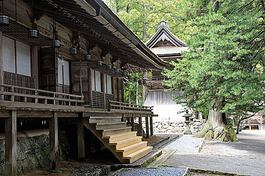 日本,高野山,佛教寺庙