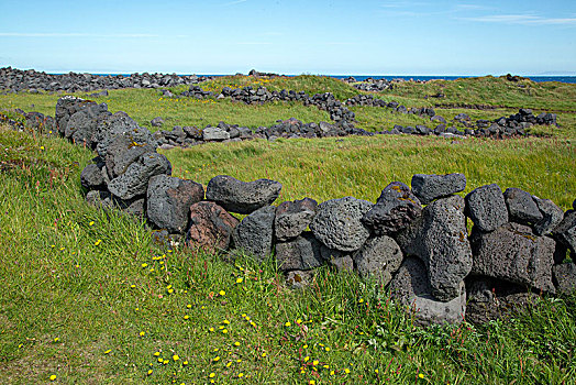 冰岛,石墙,绿色,地点,风景,黄花,草地,海洋,背景