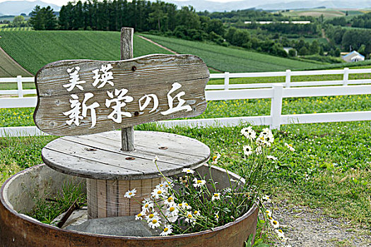 日本北海道美瑛花海