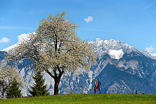 爱人,春天,站立,靠近,开花树木,山,背影,提洛尔,奥地利,欧洲