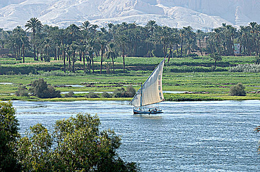 埃及,路克索神庙,三桅帆船,尼罗河