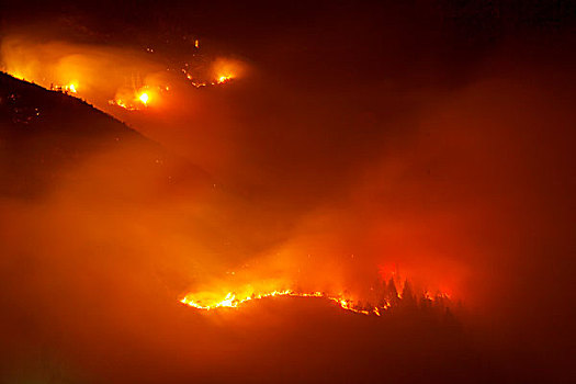 森林火灾,山,提洛尔,奥地利,欧洲