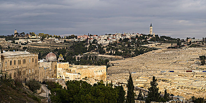风景,墓地,耶路撒冷,以色列