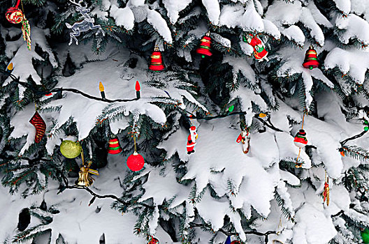 圣诞装饰,积雪,云杉,户外