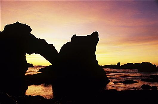 北加州,海岸,州立公园,天然石,拱形,剪影,日落