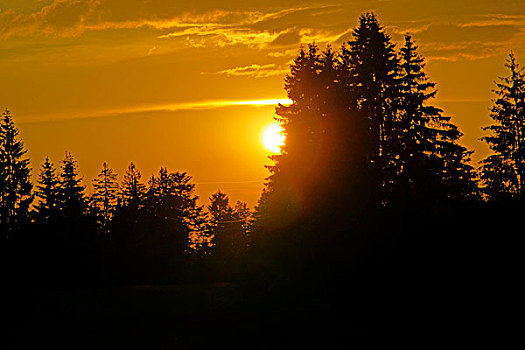 太阳,黑森林地区