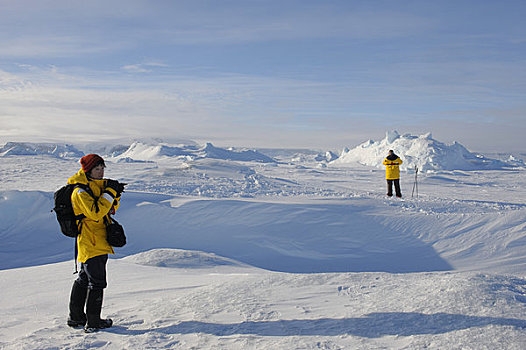 南极,威德尔海,雪丘岛,游客,走,上方,冰
