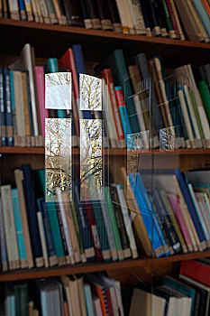 排,书本,后面,玻璃,反射,窗