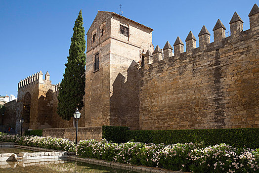 城堡,科多巴,安达卢西亚,西班牙,欧洲