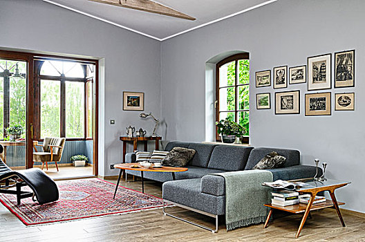 茶几,正面,灰色,沙发,宽敞,客厅,风景,温室,波兰