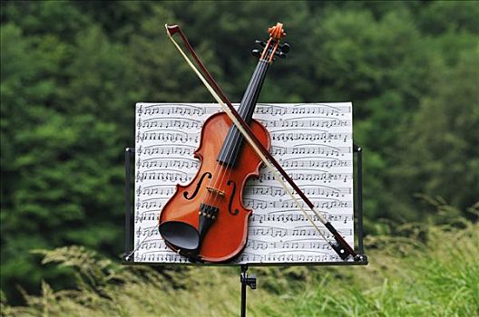 小提琴,乐谱架