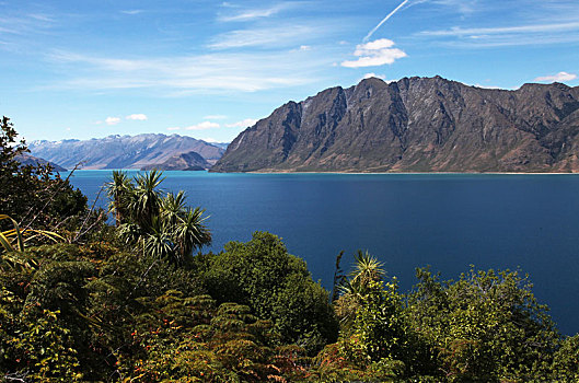 新西兰南岛哈威亚湖风光