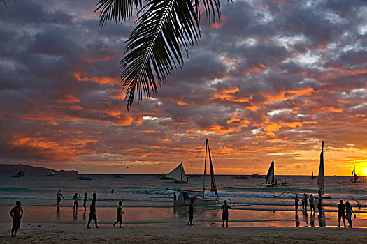 海滩,棕榈树,日落,长滩岛,菲律宾