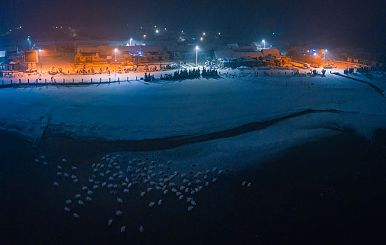 航拍山东威海俚岛镇烟墩角拍摄的冬天雪地天鹅风景夜景