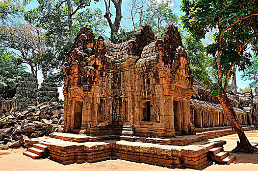 柬埔寨,收获,塔普伦寺,庙宇,遗址