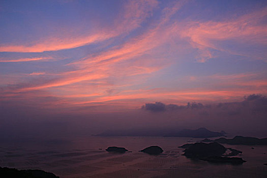 霞浦花竹