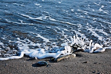 海泡石图片